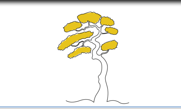 Animated Bonsai Spring Tree