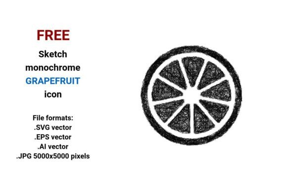 FREE Sketch Grapefruit Icon: A Versatile Design Asset for Modern Creativity